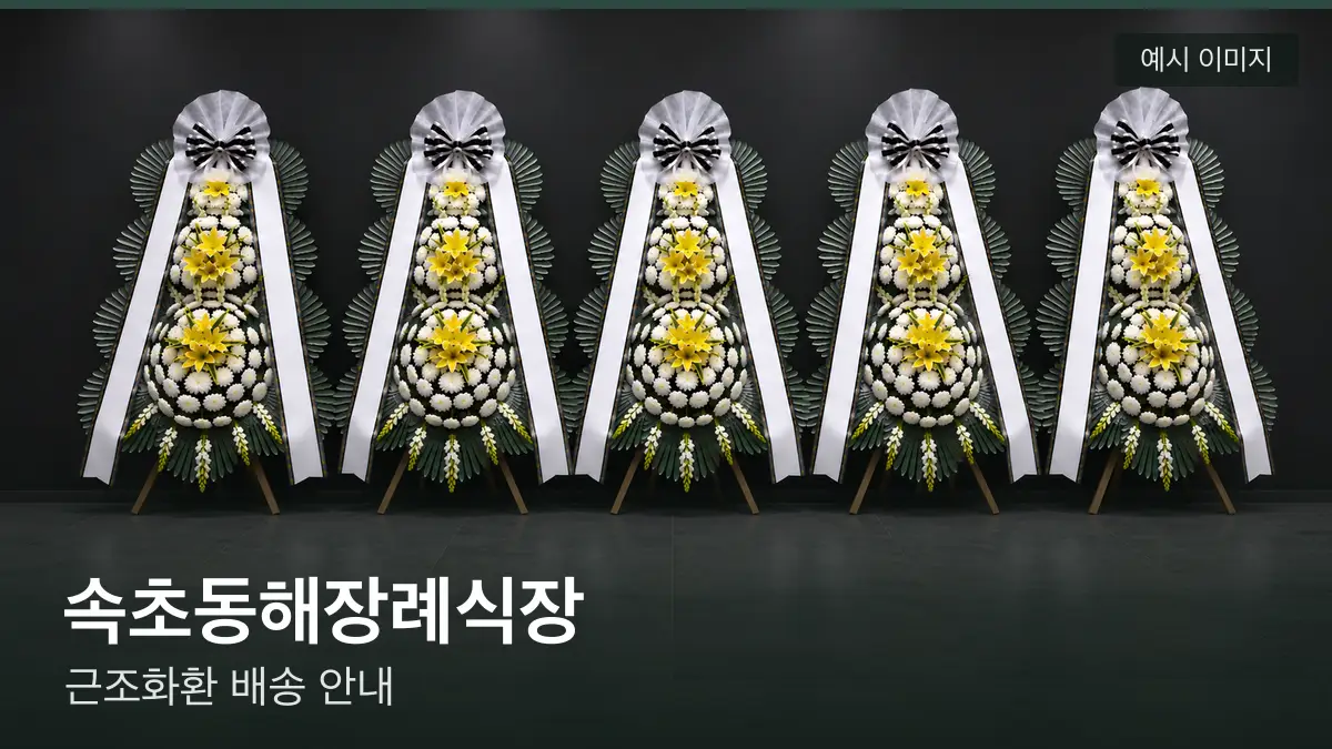 속초동해장례식장 근조화환 예시 이미지 — 흰 국화 3단 근조화환이 벽을 따라 나란히 놓인 모습