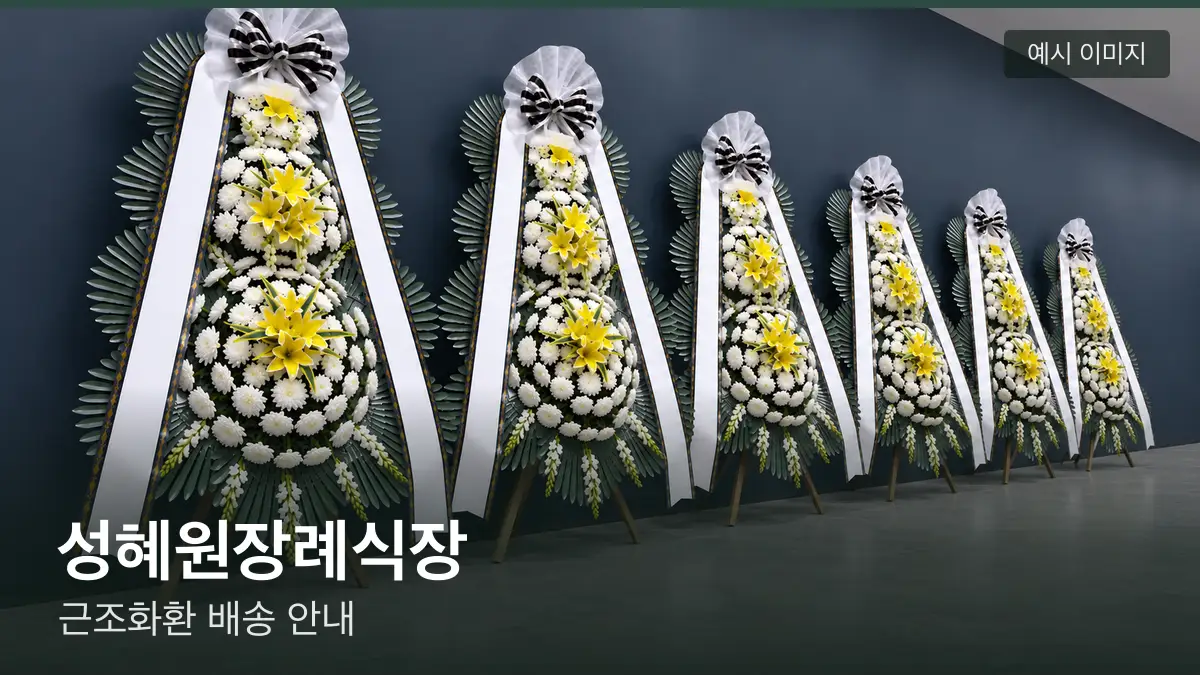 성혜원장례식장 근조화환 예시 이미지 — 흰 국화 3단 근조화환이 벽을 따라 나란히 놓인 모습