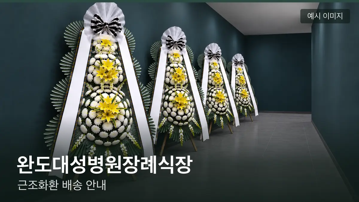 완도대성병원장례식장 근조화환 예시 이미지 — 흰 국화 3단 근조화환이 벽을 따라 나란히 놓인 모습