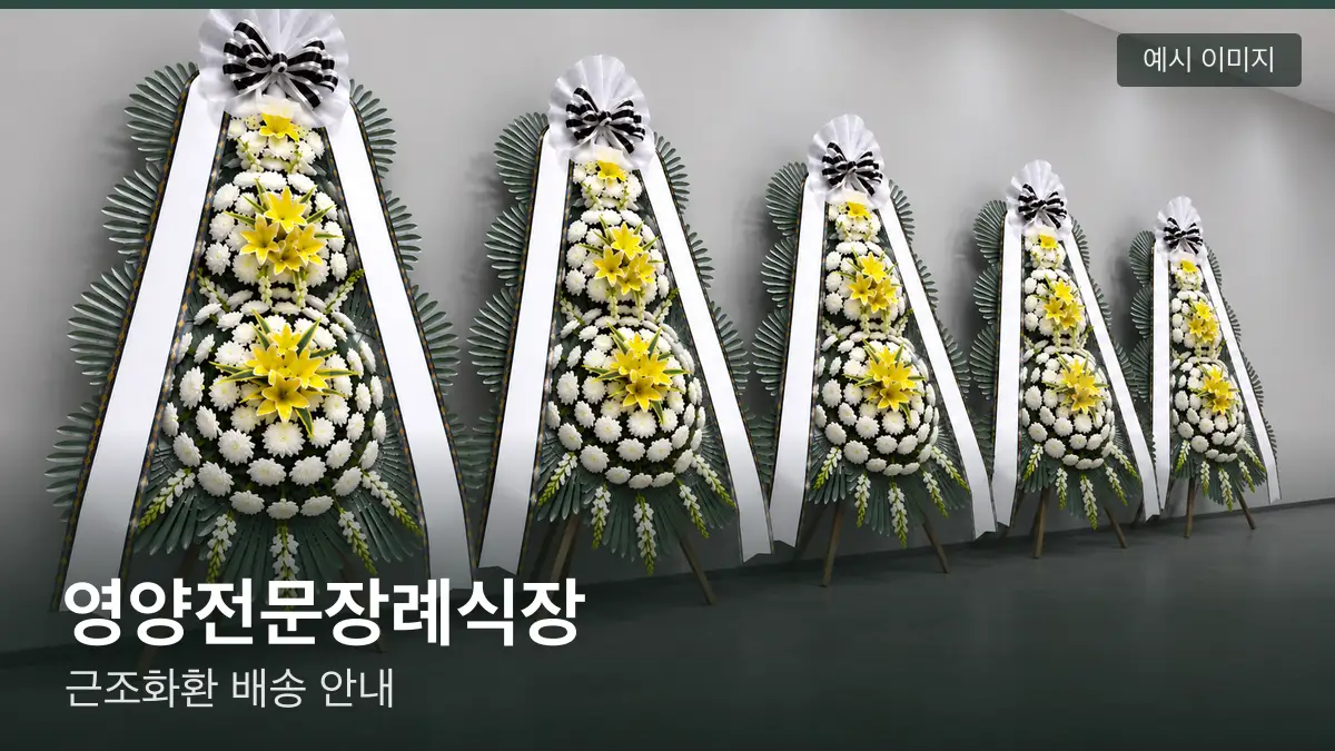 영양전문장례식장 근조화환 예시 이미지 — 흰 국화 3단 근조화환이 벽을 따라 나란히 놓인 모습