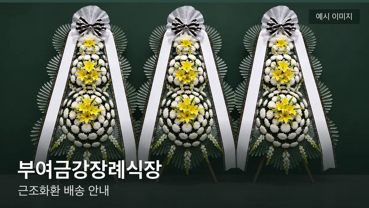부여금강장례식장 근조화환 예시 이미지 — 흰 국화 3단 근조화환이 벽을 따라 나란히 놓인 모습