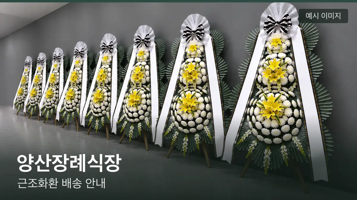 양산장례식장 근조화환 예시 이미지 — 흰 국화 3단 근조화환이 벽을 따라 나란히 놓인 모습