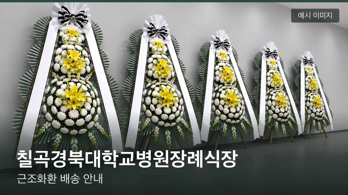 칠곡경북대학교병원장례식장 근조화환 예시 이미지 — 흰 국화 3단 근조화환이 벽을 따라 나란히 놓인 모습