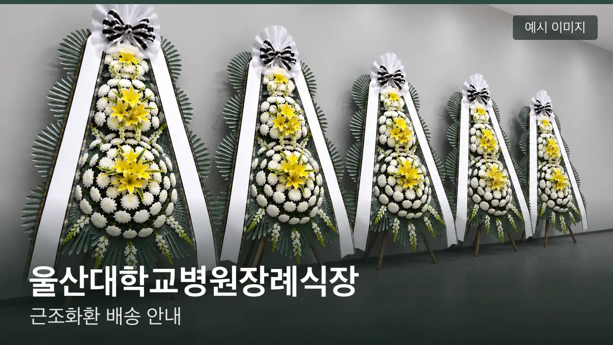 울산대학교병원장례식장 근조화환 예시 이미지 — 흰 국화 3단 근조화환이 벽을 따라 나란히 놓인 모습