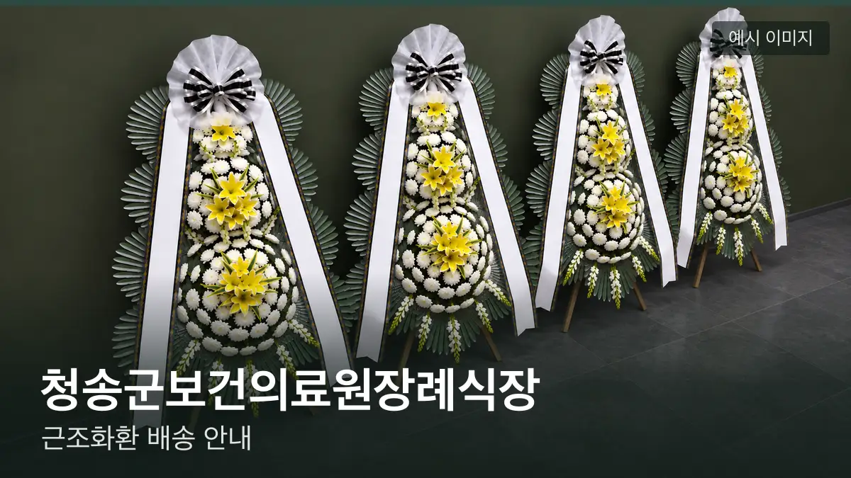 청송군보건의료원장례식장 근조화환 예시 이미지 — 흰 국화 3단 근조화환이 벽을 따라 나란히 놓인 모습