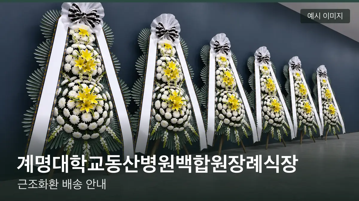 계명대학교동산병원백합원장례식장 근조화환 예시 이미지 — 흰 국화 3단 근조화환이 벽을 따라 나란히 놓인 모습