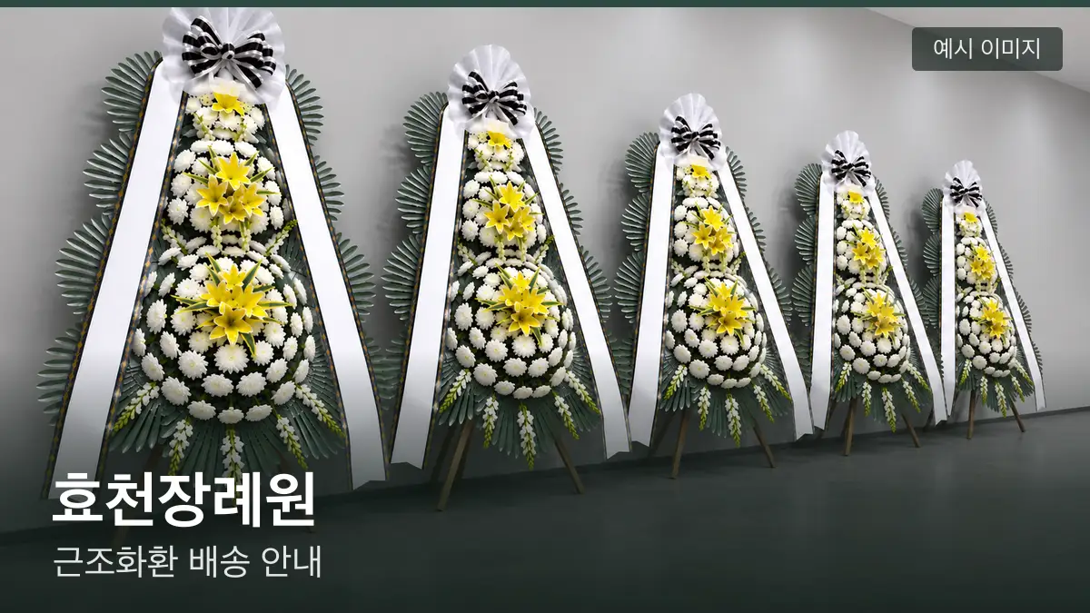 효천장례원 근조화환 예시 이미지 — 흰 국화 3단 근조화환이 벽을 따라 나란히 놓인 모습