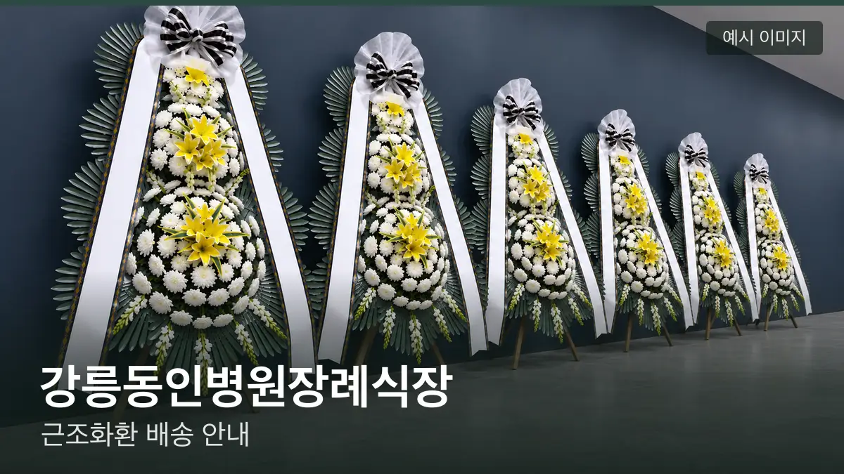 강릉동인병원장례식장 근조화환 예시 이미지 — 흰 국화 3단 근조화환이 벽을 따라 나란히 놓인 모습