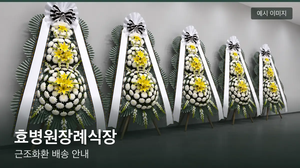 효병원장례식장 근조화환 예시 이미지 — 흰 국화 3단 근조화환이 벽을 따라 나란히 놓인 모습