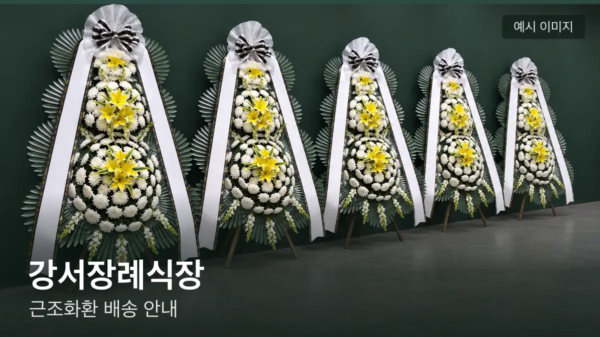 강서장례식장 근조화환 예시 이미지 — 흰 국화 3단 근조화환이 벽을 따라 나란히 놓인 모습