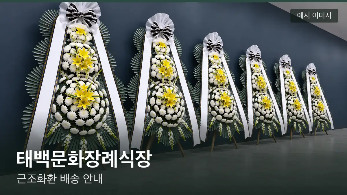 태백문화장례식장 근조화환 예시 이미지 — 흰 국화 3단 근조화환이 벽을 따라 나란히 놓인 모습