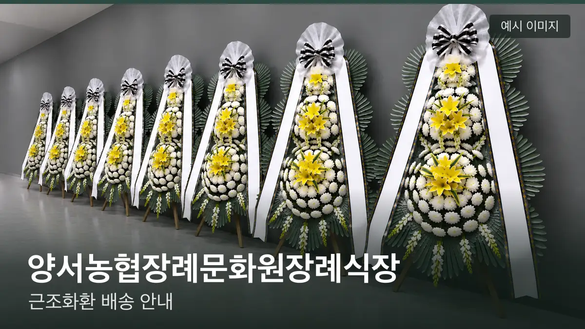 양서농협장례문화원장례식장 근조화환 예시 이미지 — 흰 국화 3단 근조화환이 벽을 따라 나란히 놓인 모습