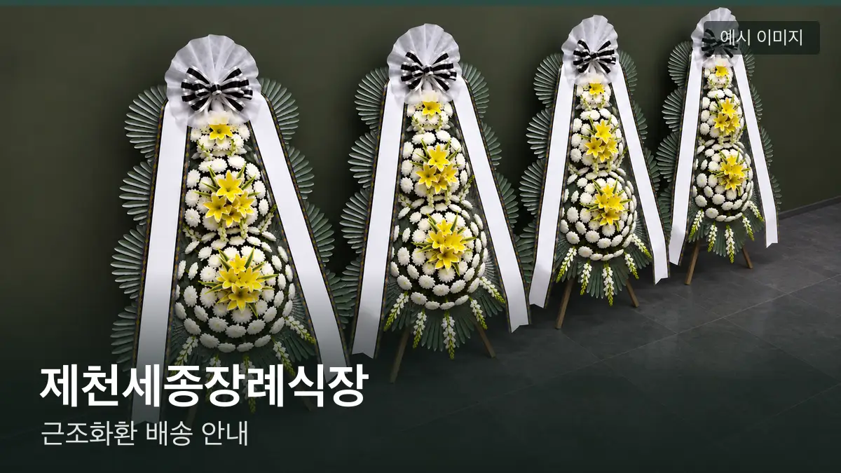 제천세종장례식장 근조화환 예시 이미지 — 흰 국화 3단 근조화환이 벽을 따라 나란히 놓인 모습