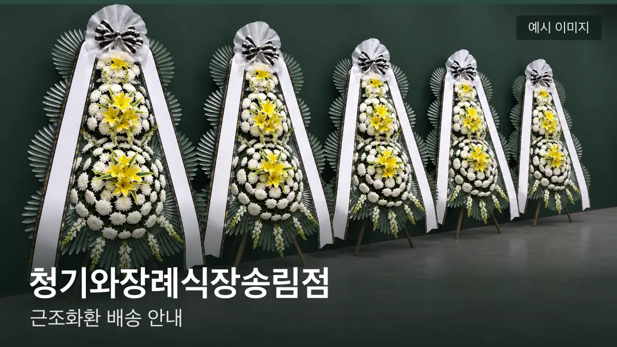 청기와장례식장송림점 근조화환 예시 이미지 — 흰 국화 3단 근조화환이 벽을 따라 나란히 놓인 모습