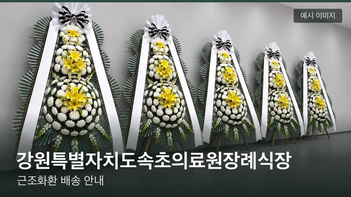 강원특별자치도속초의료원장례식장 근조화환 예시 이미지 — 흰 국화 3단 근조화환이 벽을 따라 나란히 놓인 모습