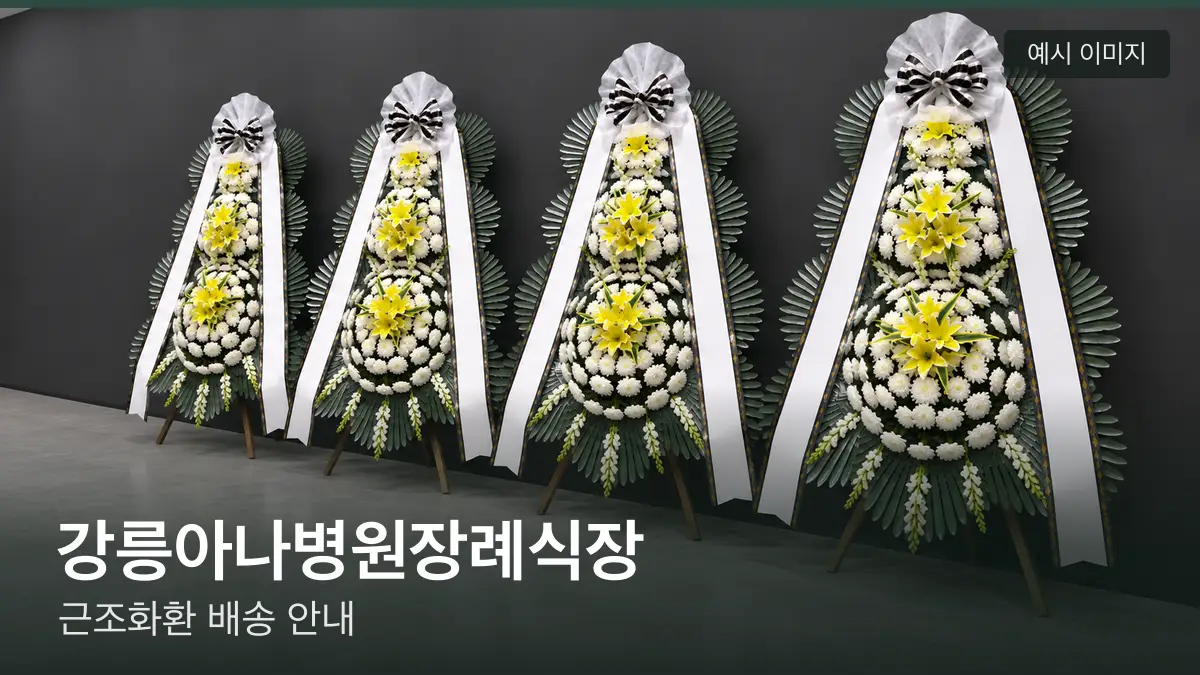강릉아나병원장례식장 근조화환 예시 이미지 — 흰 국화 3단 근조화환이 벽을 따라 나란히 놓인 모습