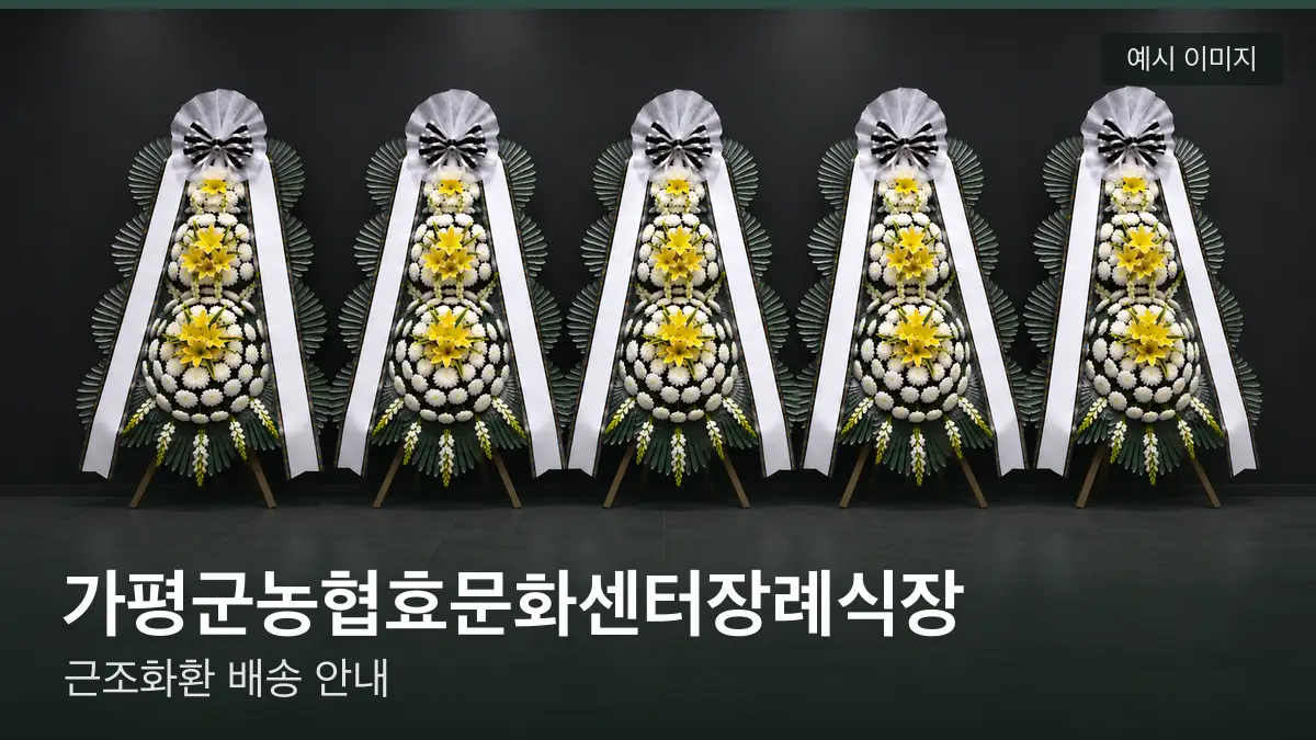 가평군농협효문화센터장례식장 근조화환 예시 이미지 — 흰 국화 3단 근조화환이 벽을 따라 나란히 놓인 모습