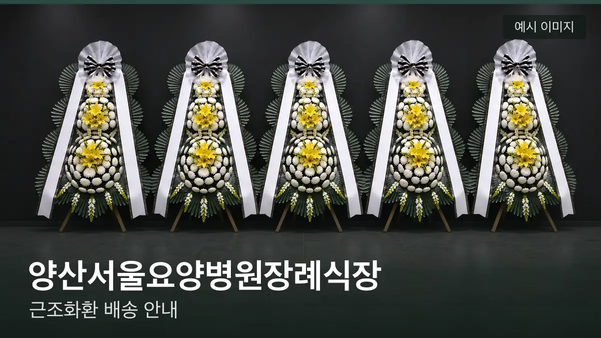 양산서울요양병원장례식장 근조화환 예시 이미지 — 흰 국화 3단 근조화환이 벽을 따라 나란히 놓인 모습