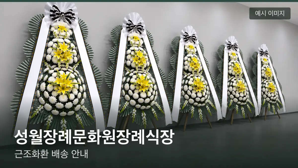 성월장례문화원장례식장 근조화환 예시 이미지 — 흰 국화 3단 근조화환이 벽을 따라 나란히 놓인 모습