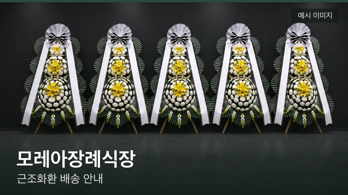 모레아장례식장 근조화환 예시 이미지 — 흰 국화 3단 근조화환이 벽을 따라 나란히 놓인 모습