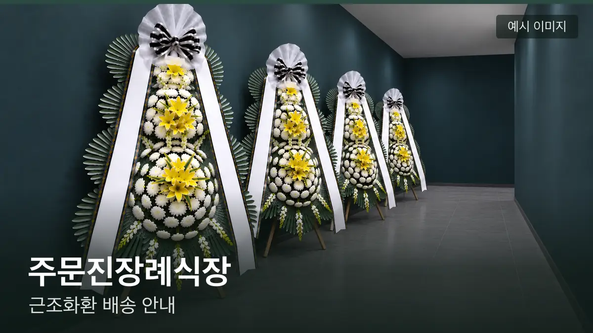 주문진장례식장 근조화환 예시 이미지 — 흰 국화 3단 근조화환이 벽을 따라 나란히 놓인 모습